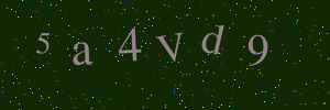 Validation image